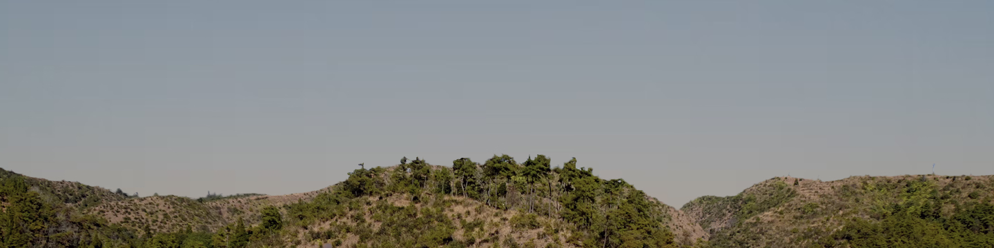 Section Background