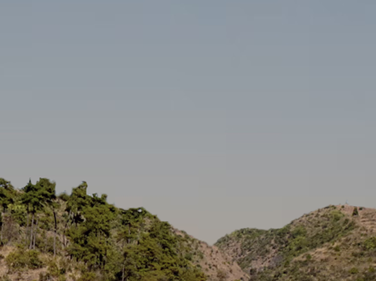 Section Background