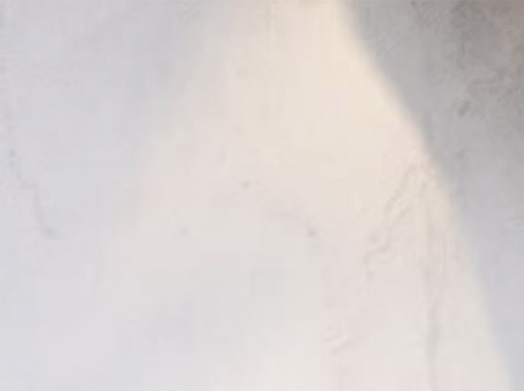 Section Background